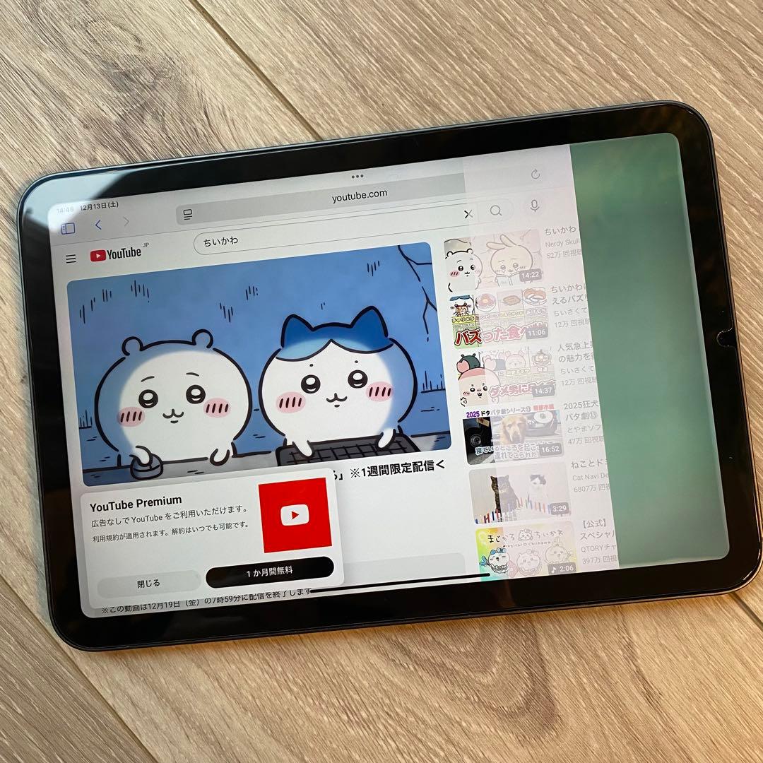画面不良｜iPad mini 第6世代 64GB Wi-Fiモデル A2567