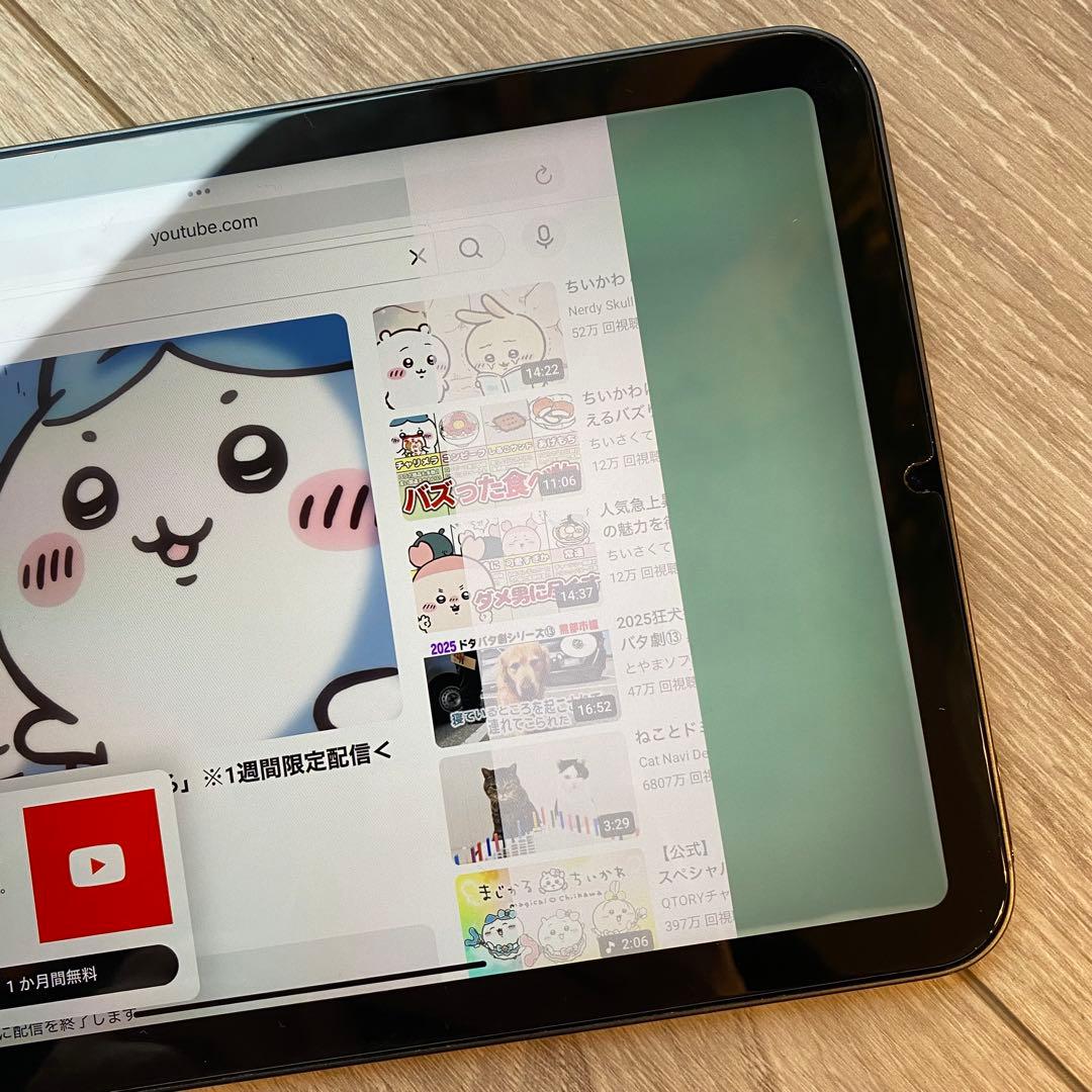 画面不良｜iPad mini 第6世代 64GB Wi-Fiモデル A2567