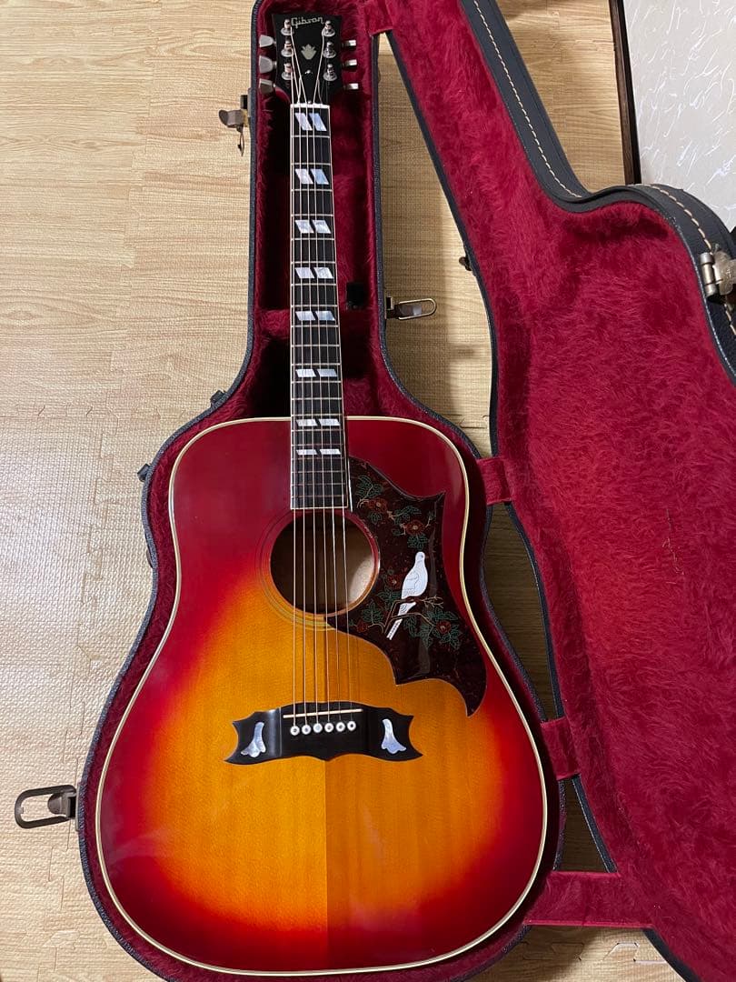 Itami！Gibson Dove 1981年製