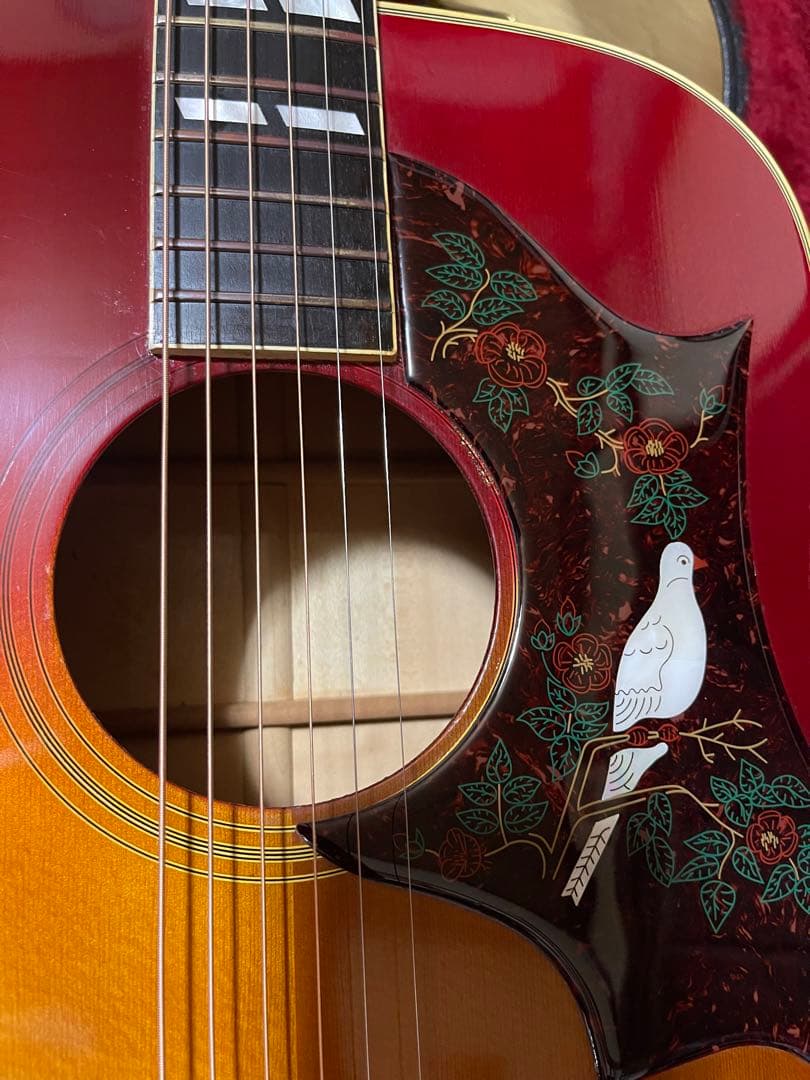 Itami！Gibson Dove 1981年製