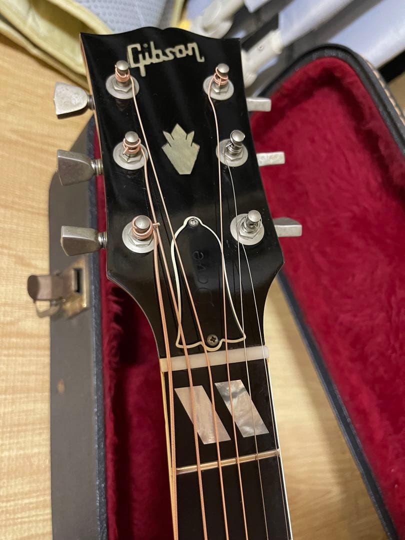 Itami！Gibson Dove 1981年製