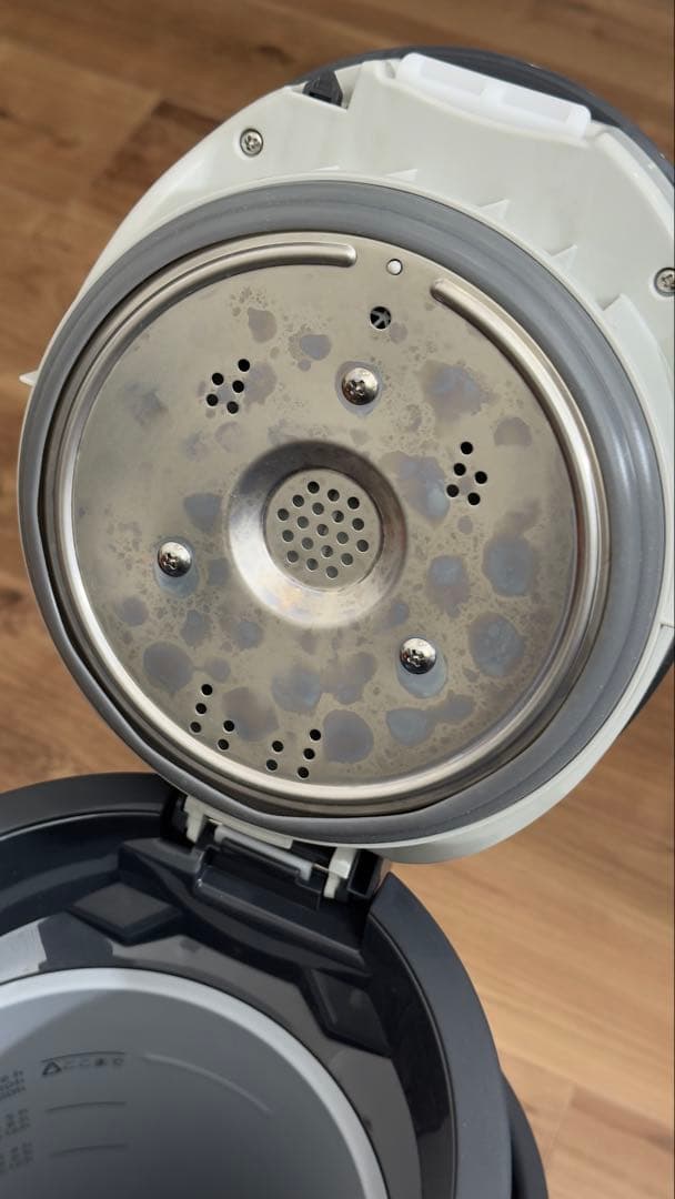 象印 加湿器 2025年製 スチーム式 4リットル EE-TB60-BM