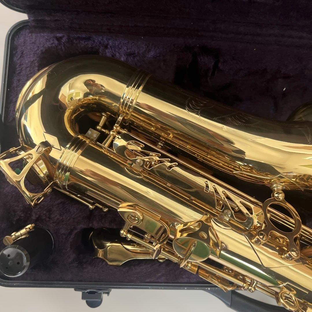 【初心者セット】SAVALEY アルトサックス ケース付き 付属品多数