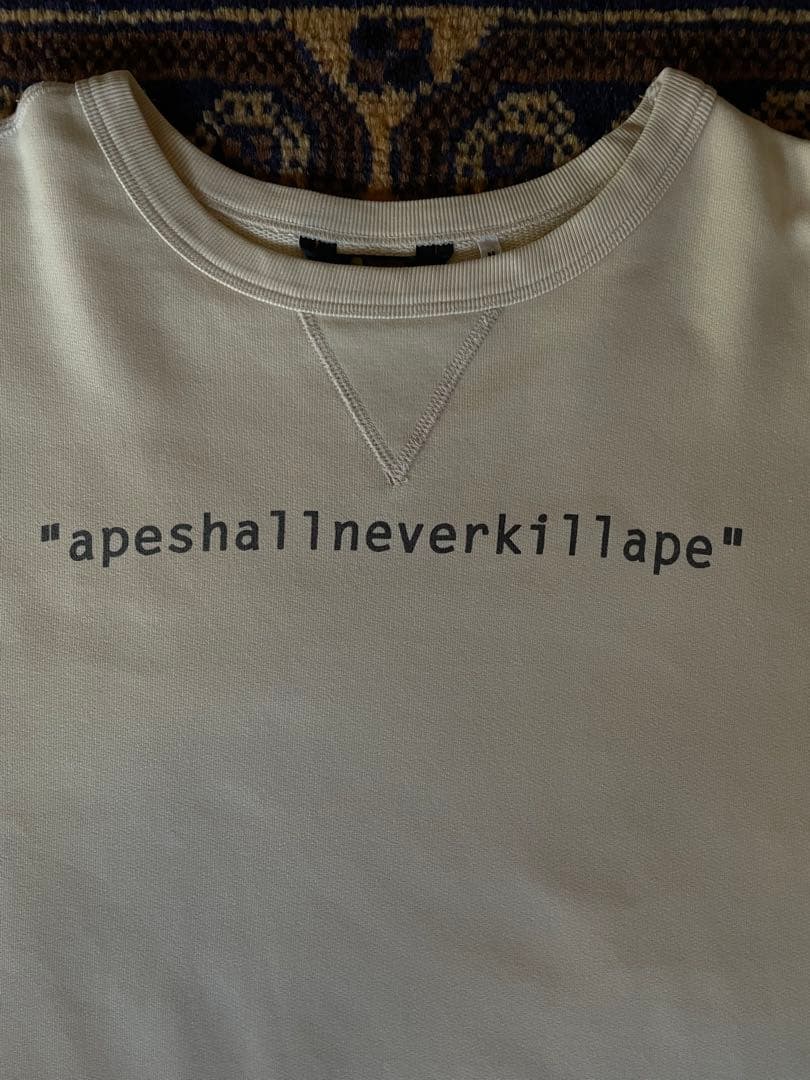 希少 90s A BATHING APE A.S.N.K.A. SWEAT