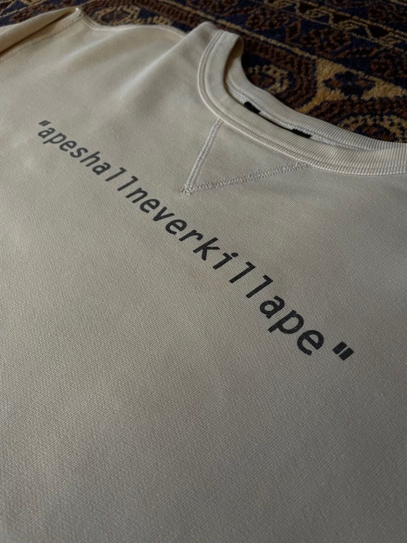 希少 90s A BATHING APE A.S.N.K.A. SWEAT