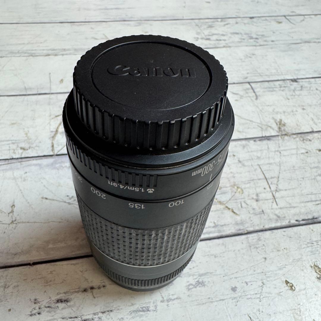 CANON ZOOM LENS EF 75-300mm 1:4-5.6 Ⅲ