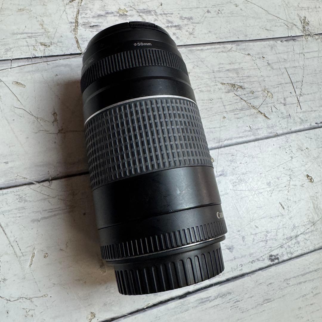 CANON ZOOM LENS EF 75-300mm 1:4-5.6 Ⅲ