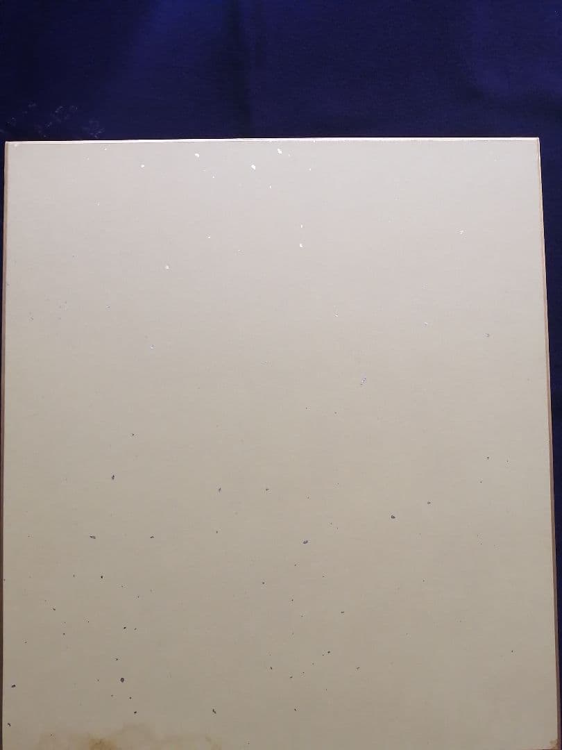 ★【shin】水木しげる先生『猫むすめ』直筆色紙　落款　額装　本物品　直筆