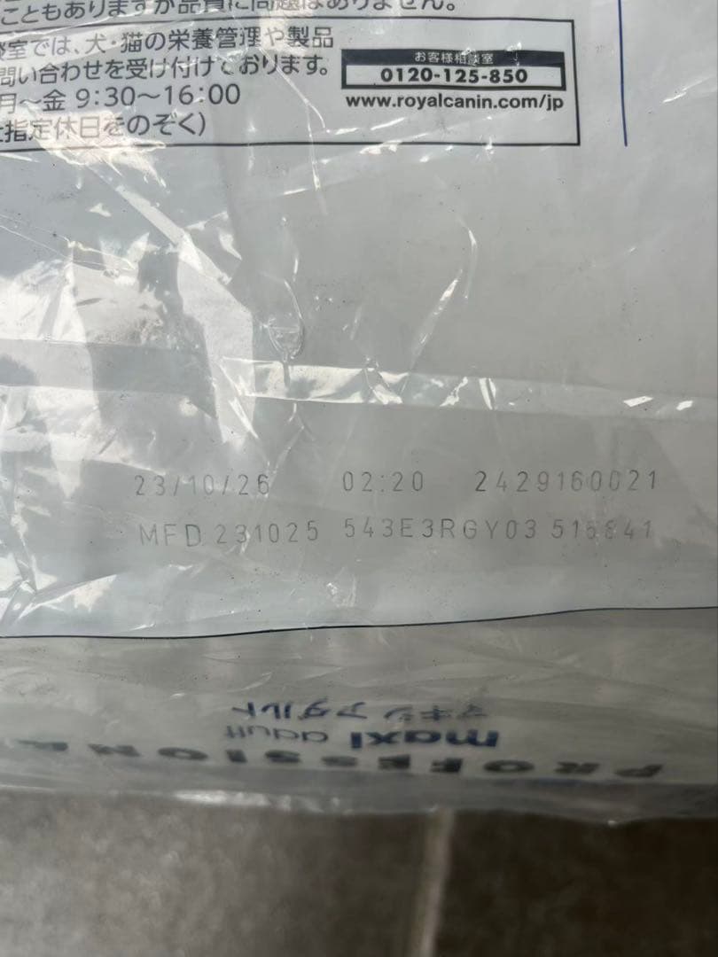  CANIN マキシアダルト L 大型犬用成犬用　16kg