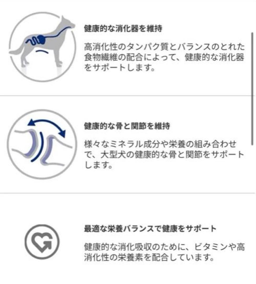  CANIN マキシアダルト L 大型犬用成犬用　16kg