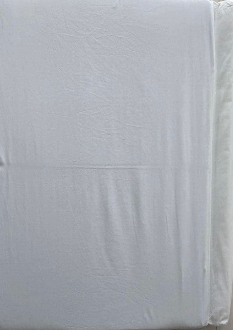 そいねーるミニ　直接引き渡し割引あり