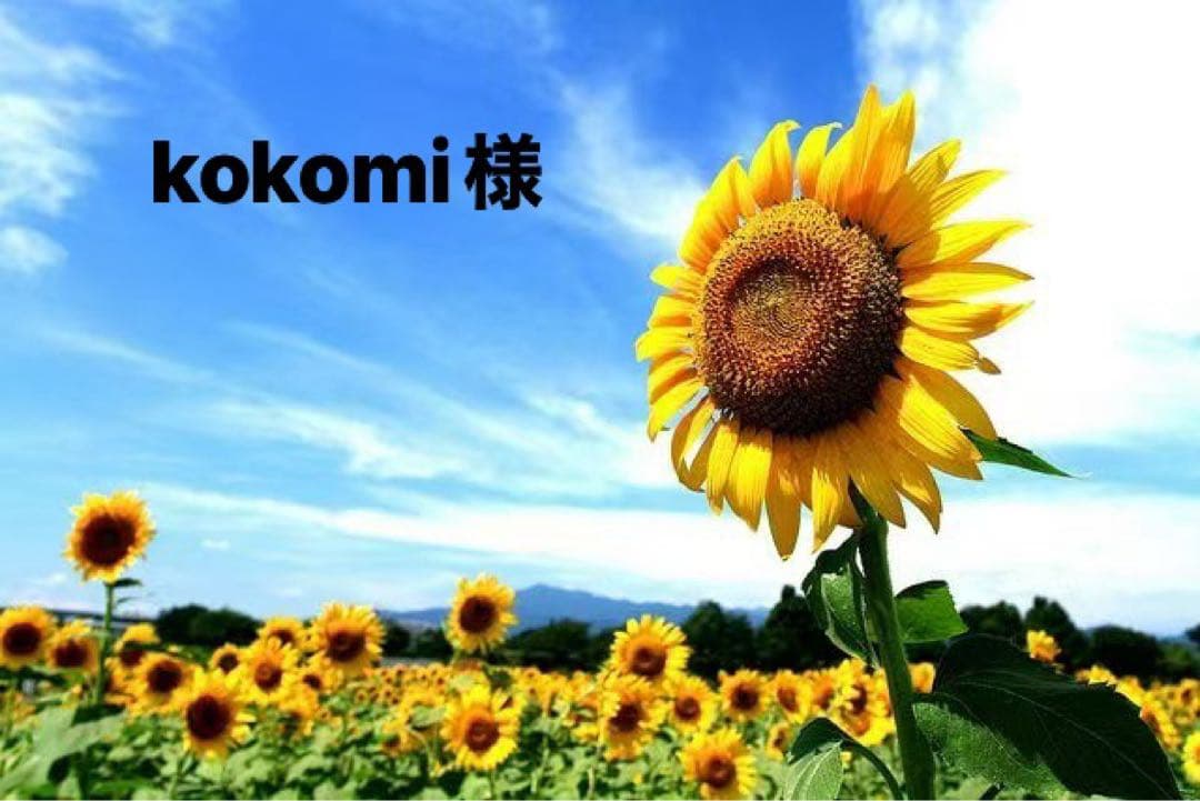 kokomi様、