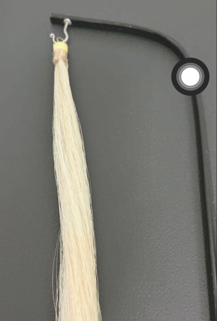 胡弓 和胡弓 高級和胡弓　 本体、弓、駒、ケース