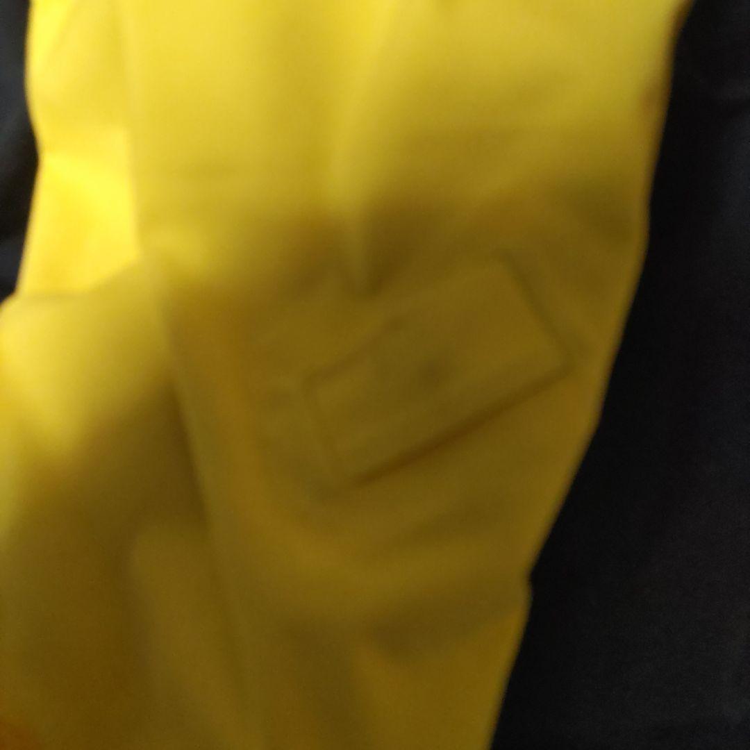 GOLDWINゴールドウイン FISCHERTEAM 選手用 ジャケット