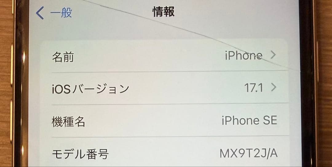 【ジャンク】iPhone SE 第2世代　ホワイト　64GB