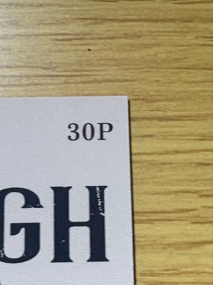 世界に5枚限定　EPOCH LION KING シリアル1/5