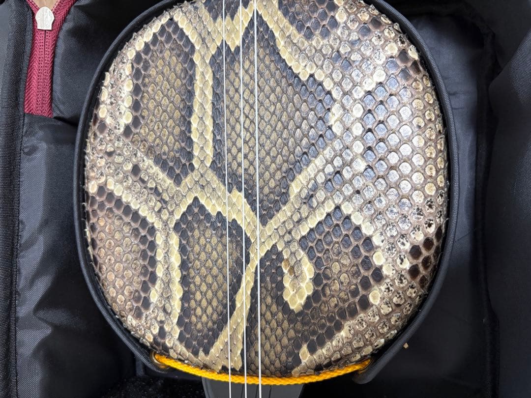 真壁型本皮三線