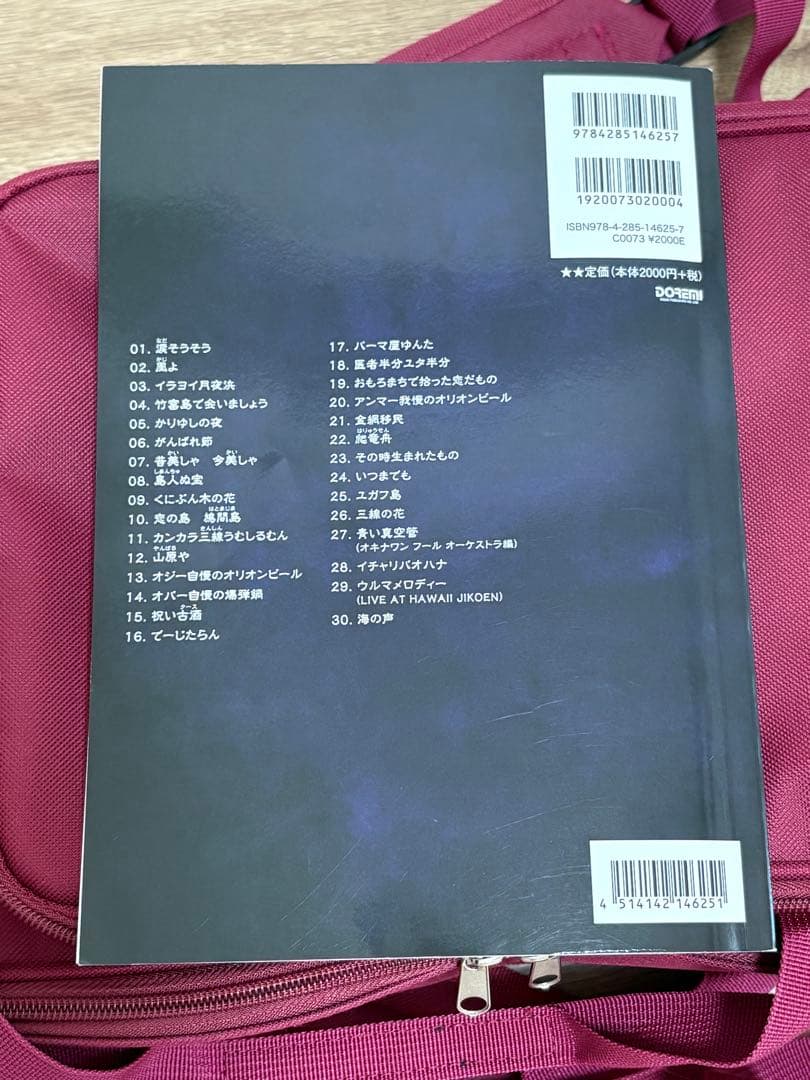 真壁型本皮三線