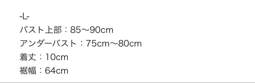 judin 2way ribbon motif swimwear リボン水着