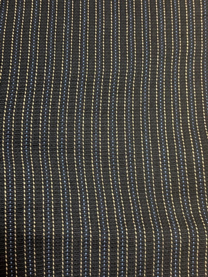 ANATOMICA アナトミカ GARDIAN PANTS フランス 46