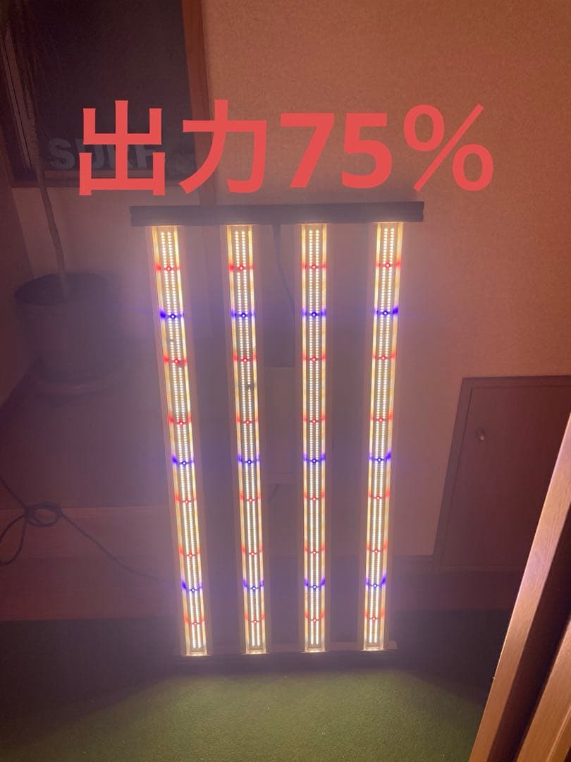 セール OPTIC LED CREEライト SLIM 320H 植物育成　訳あり