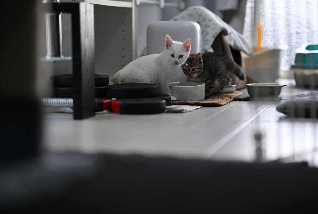 VILTROX AF 85mm F1.8 Zマウント 単焦点レンズ