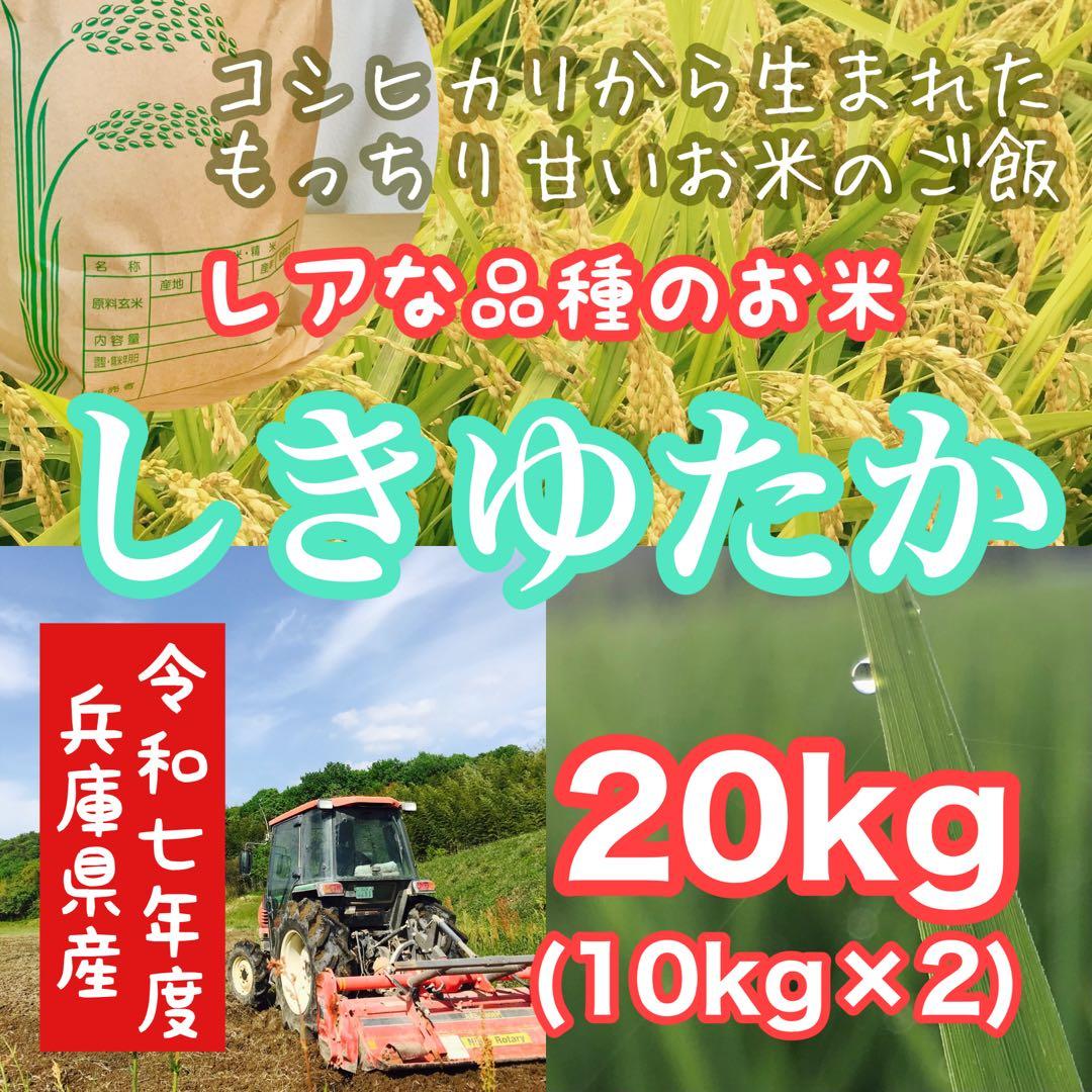レア品種 シキユタカ★兵庫県産新米 湧き水育ち農家のお米 20kg(10kg×2