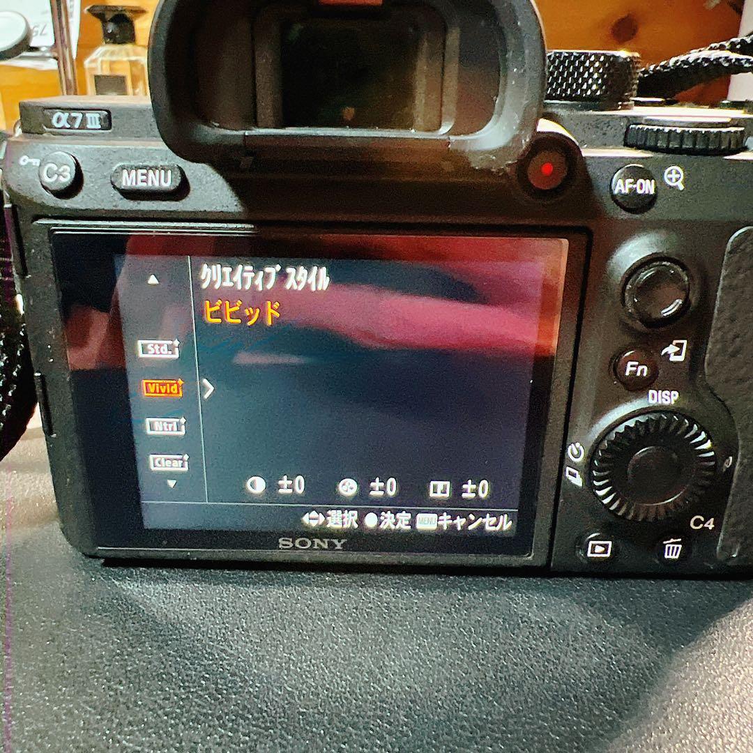 SONY α7 III ILCE-7M3 ボディ シャッター約500回 美品