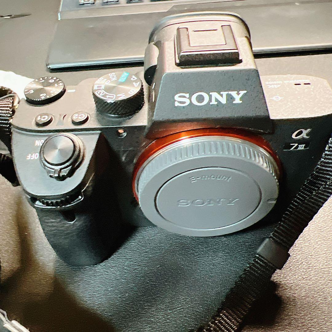 SONY α7 III ILCE-7M3 ボディ シャッター約500回 美品