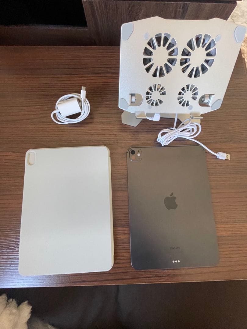 L*s様 Apple iPad Pro 11インチ スペースグレー 本体　M4