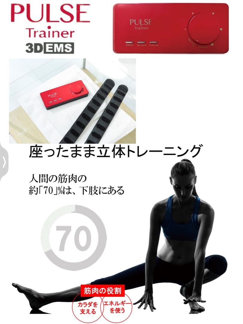 パルストレーナー【美品】 3DEMS