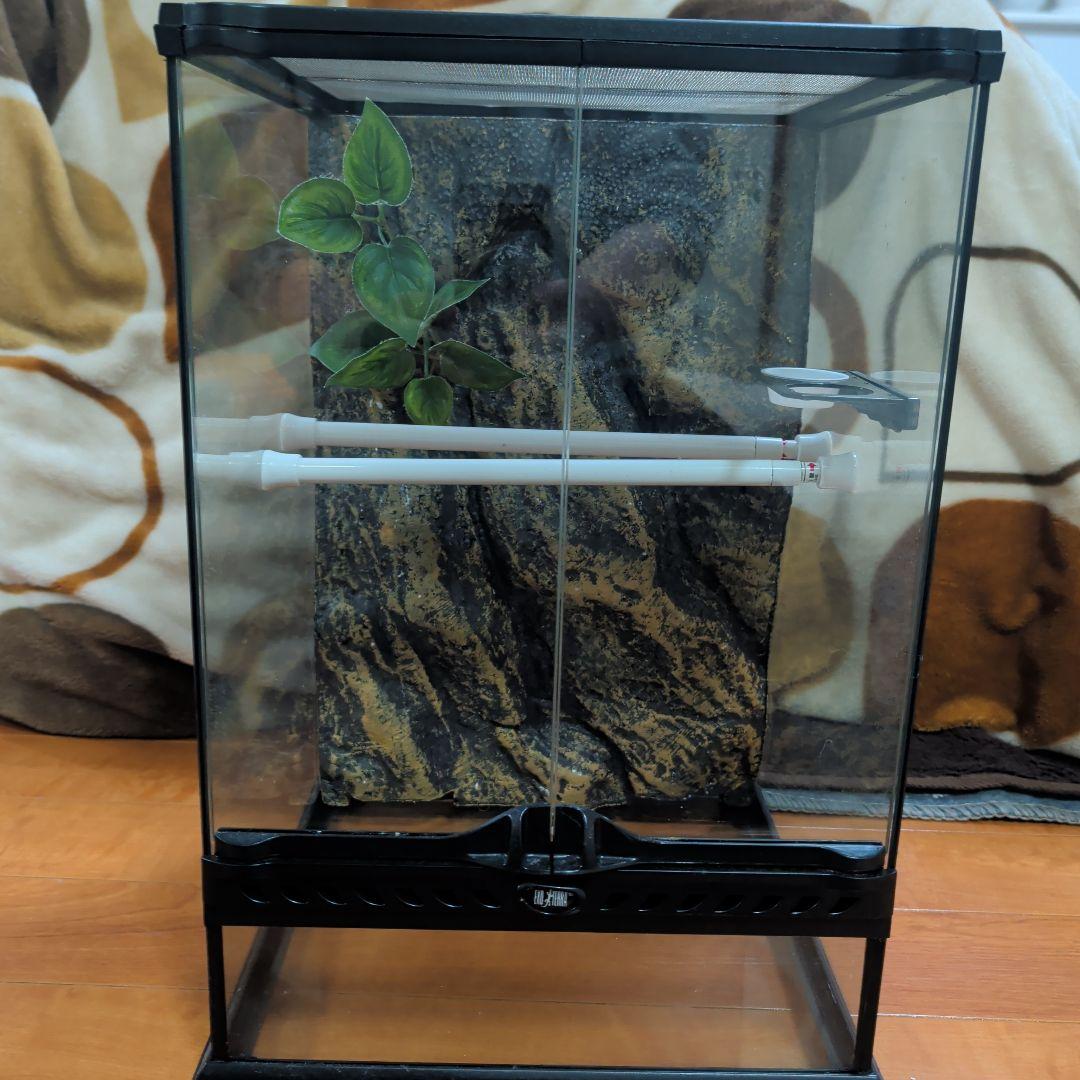 爬虫類用テラリウムゲージ