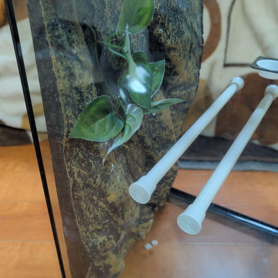 爬虫類用テラリウムゲージ