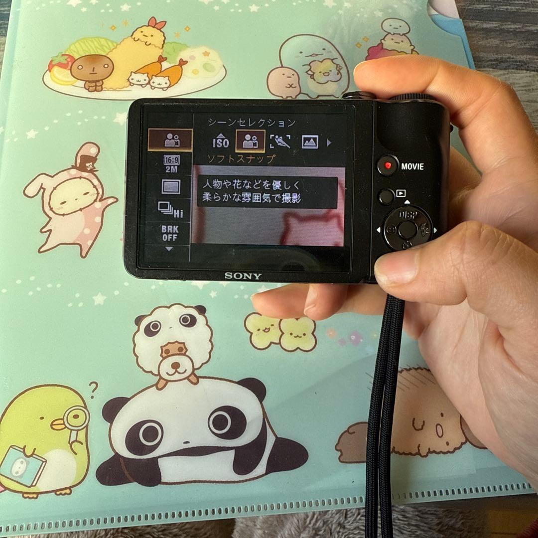 動作品　SONY cybershot DSC-HX5