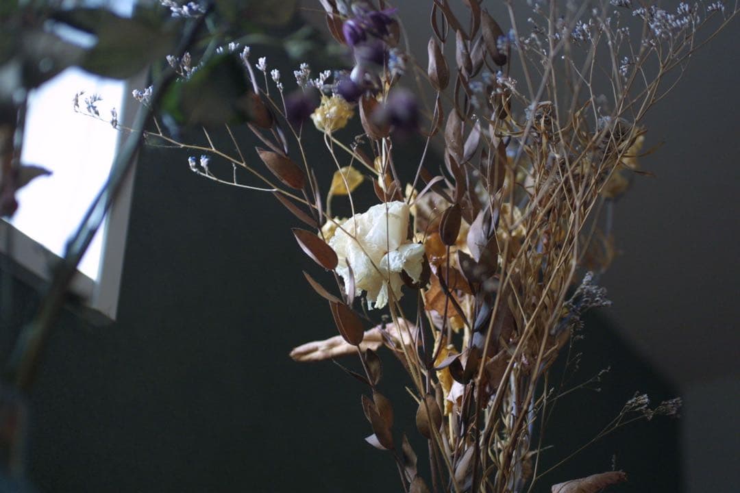 Canon EOS 30D デジタル一眼　シグマ　50ミリ　1:2.8 マクロ