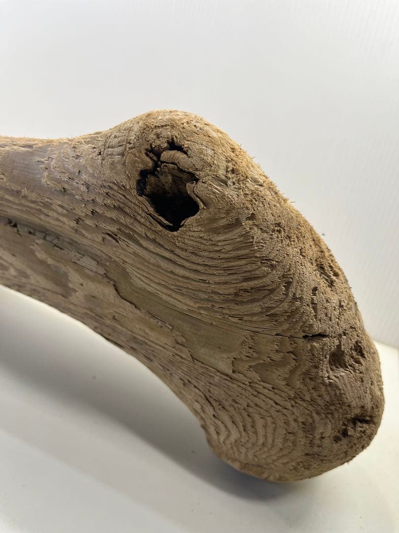 n42特大流木 大型流木 アク抜き済み 爬虫類シェルター レイアウト用 登り木