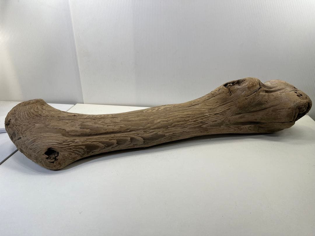 n42特大流木 大型流木 アク抜き済み 爬虫類シェルター レイアウト用 登り木