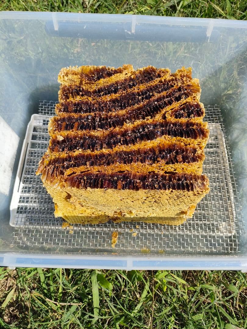 ｔache&　日本ミツバチの希少な巣蜜です。