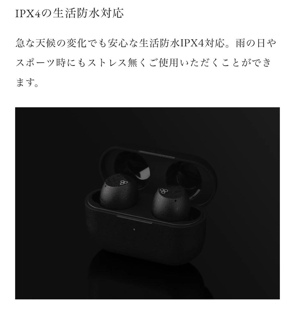 最安値　final ZE3000SV ブラック 完全ワイヤレスイヤフォン