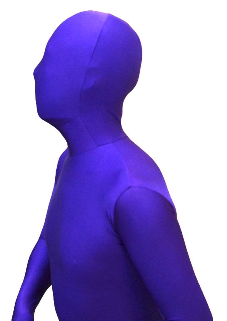 即購入OK。Lサイズパープル男性用凸仕様ゼンタイフルフェイスマスク全身タイツ