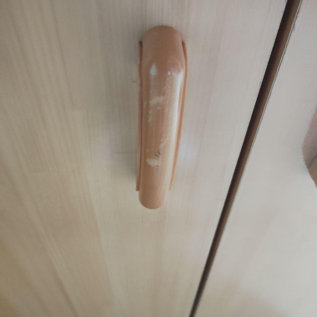 衣類収納ケース ライトベージュ ハンガーバー付き