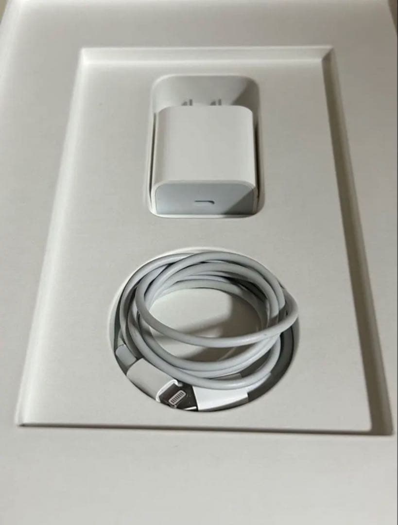 iPad (第9世代) 64GBシルバー充電器付　Wi-Fiモデル　A2602