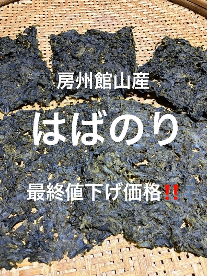 房州館山産✴︎はばのり20枚✴︎約180g