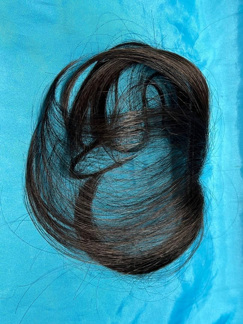 ト*ト様 ペスカ　ヘアメイト チャチャ　ショートタイプ（ダークブラウン）