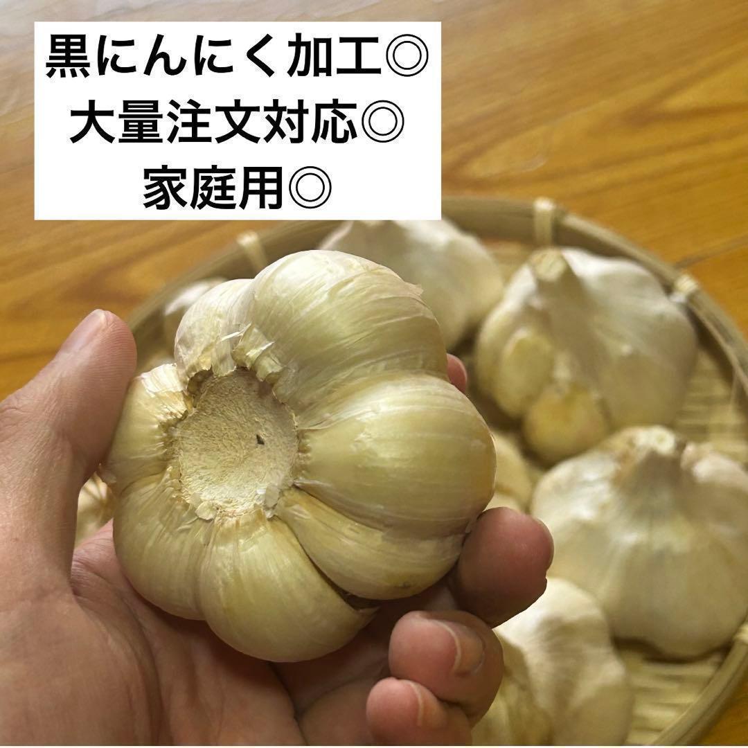 【大特価】青森県産 にんにく L 5kg 福地ホワイト 免疫力アップ 激安