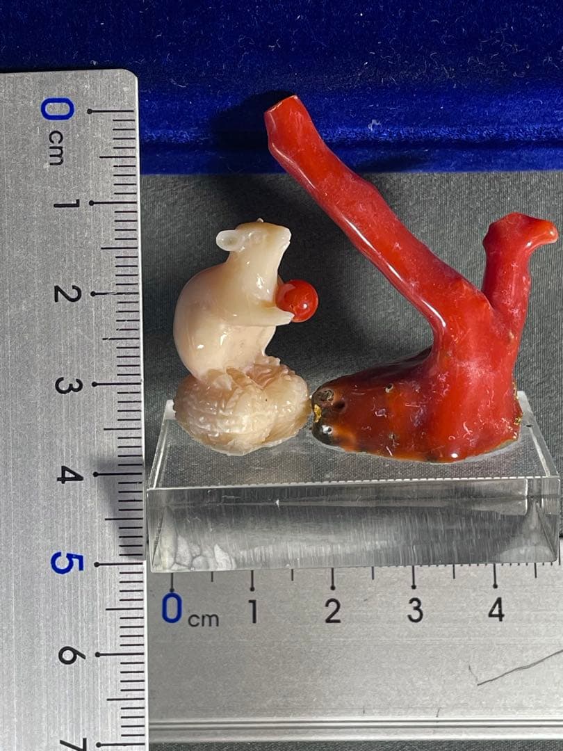 天然赤珊瑚 鼠のミニ置物　 ＷＺー14