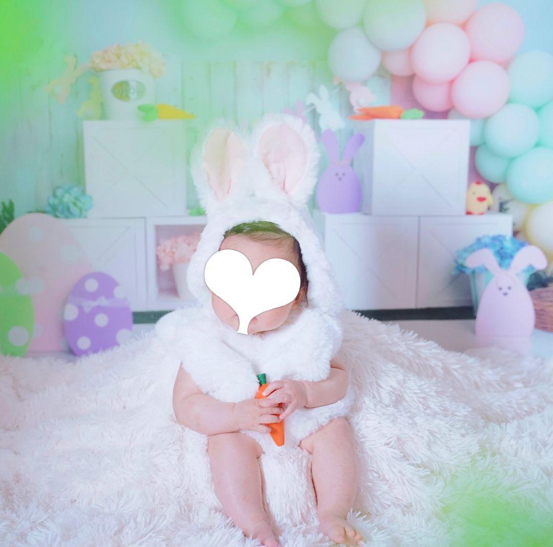 背景布×6+1枚　ペット、サロン撮影用フォトブース　トリミングチョーカー販売中