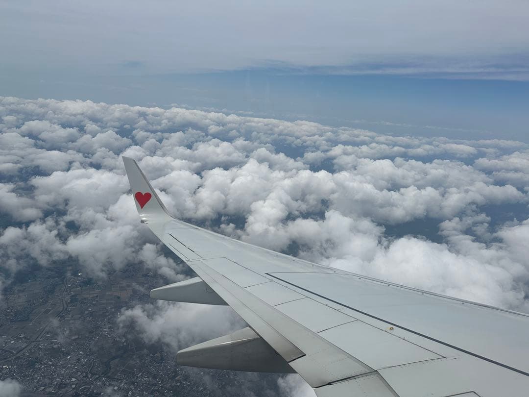 チャップ様IE navy