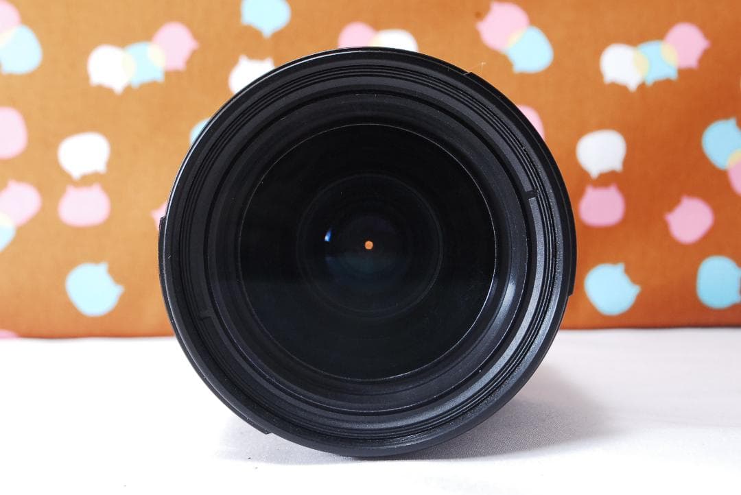 ✨届いてすぐ使える✨ショット数4601回✨Nikon D70s レンズセット