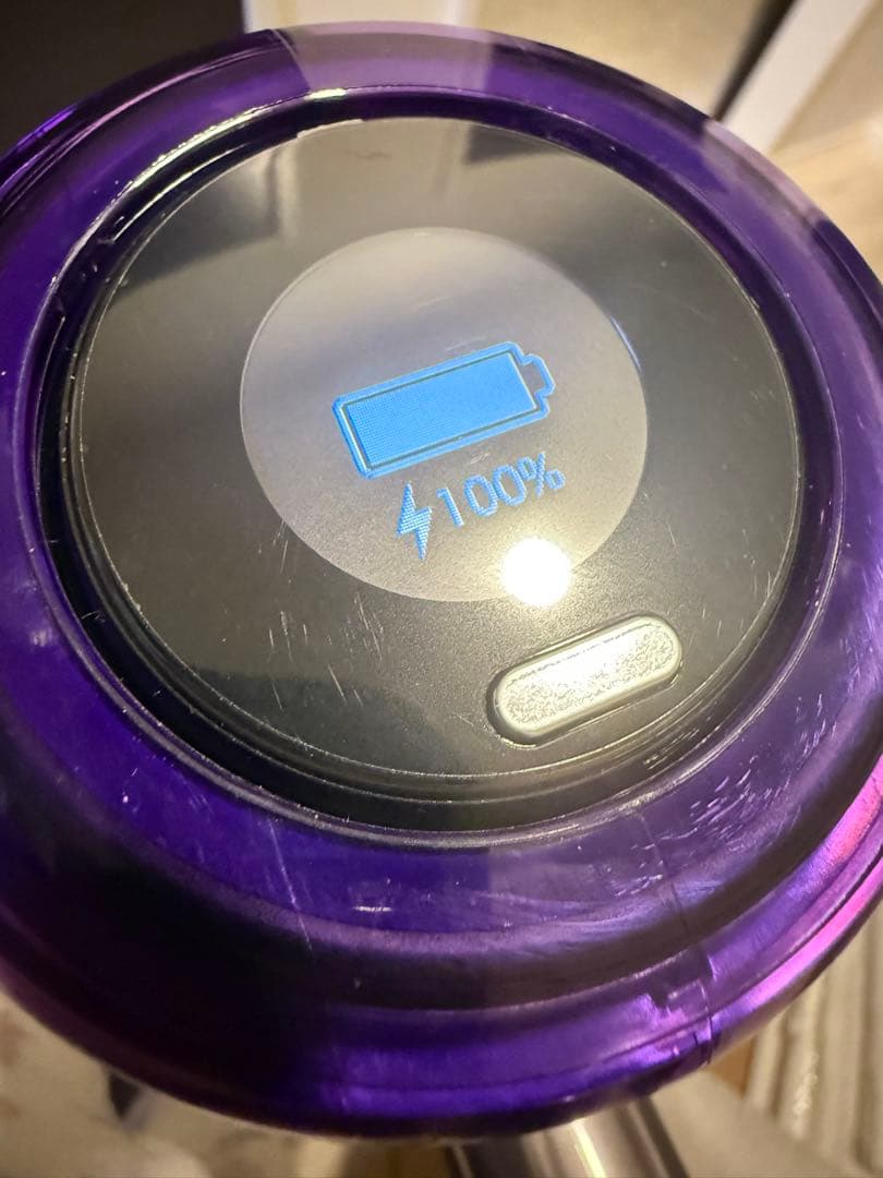 ダイソン 掃除機 Dyson V12 Detect Slim Fluffy